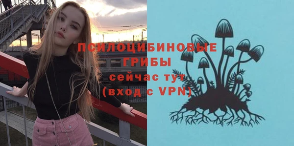 дмт Арсеньев