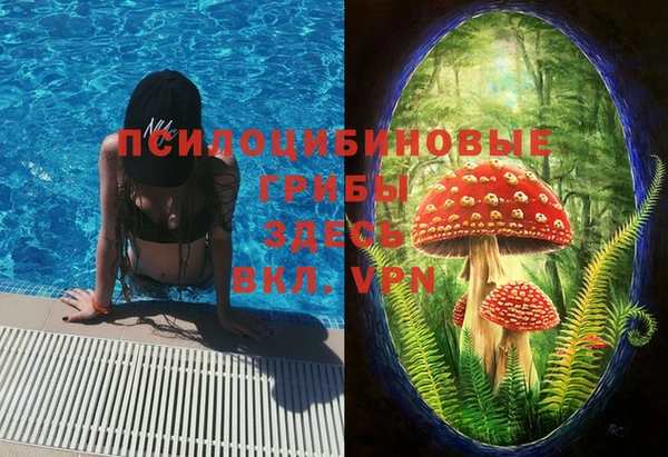 первитин Бородино