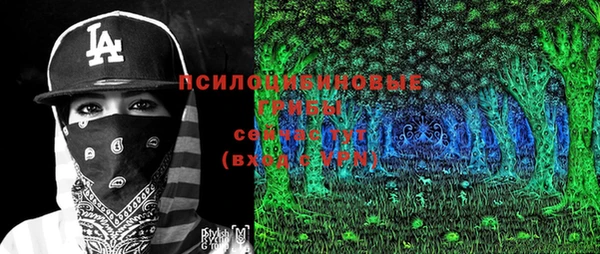 spice Бугульма