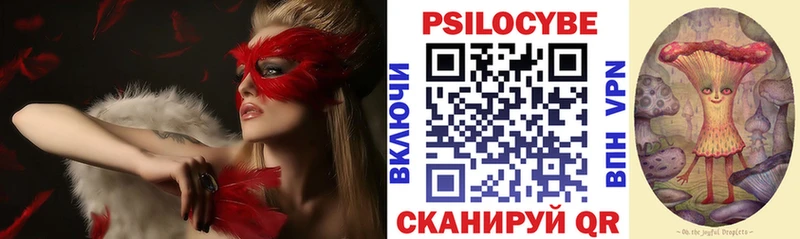 Купить закладки  Белый  Галлюциногенные грибы GOLDEN TEACHER 